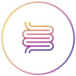 Title Alt tag