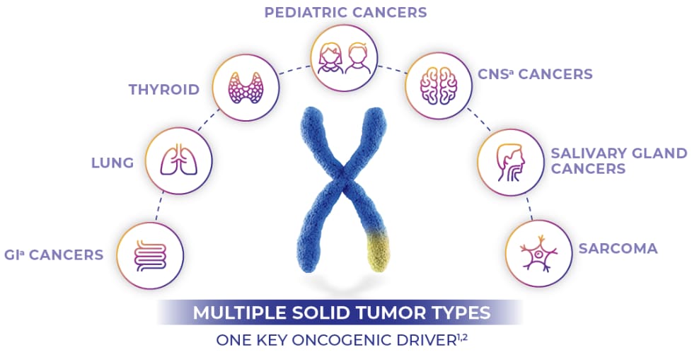 TRK gene fusion in multiple types of solid tumors Graphic of NTRK gene fusion in multiple solid tumor types