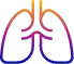 Human lungs icon Icon of human lungs