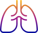 Human lungs icon Icon of human lungs
