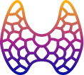 Thyroid gland icon Icon of human thyroid gland