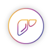 Hepatocellular carcinoma icon Hepatocellular carcinoma icon