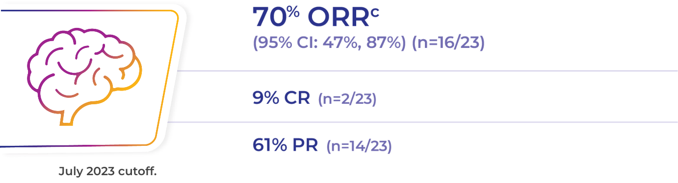 Subgroup ORR data Graphic showing subgroup ORR data