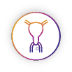 Vaginal cancer icon