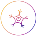 Alt tag