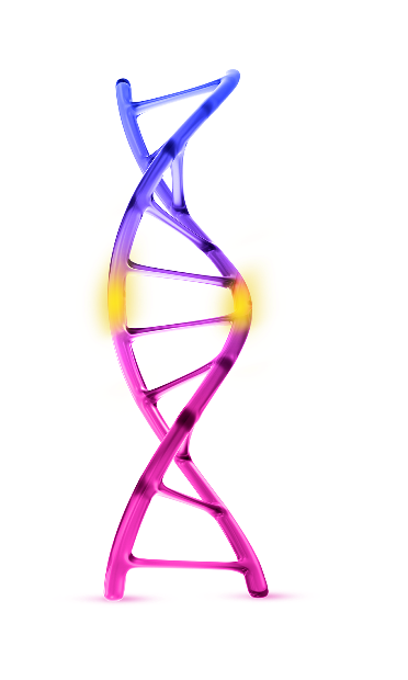 Alt tag