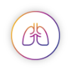 Non-small cell lung cancer icon