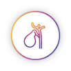 Biliary tract cancer icon